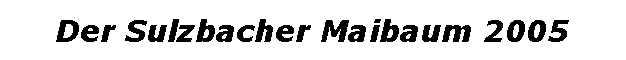 Textfeld: Der Sulzbacher Maibaum 2005